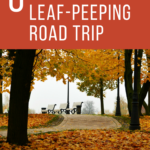 6 Tips for Planning a Fall Foliage Road Trip