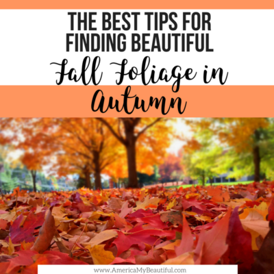 Planning a Fall Foliage Road Trip