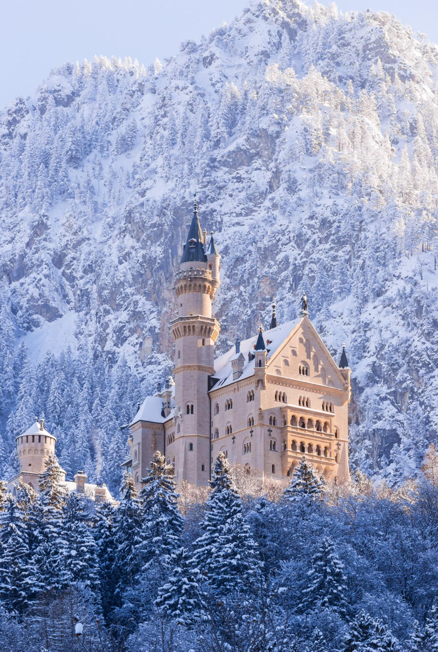 Neuschwanstein Castle in Winter  #Neuschwanstein