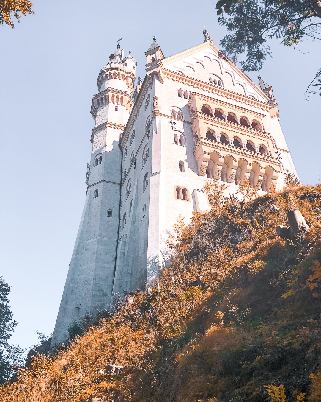 neuschwanstein castle trips