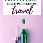 vegan travel size beauty products