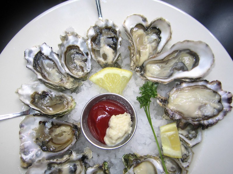 Oysters on a plate