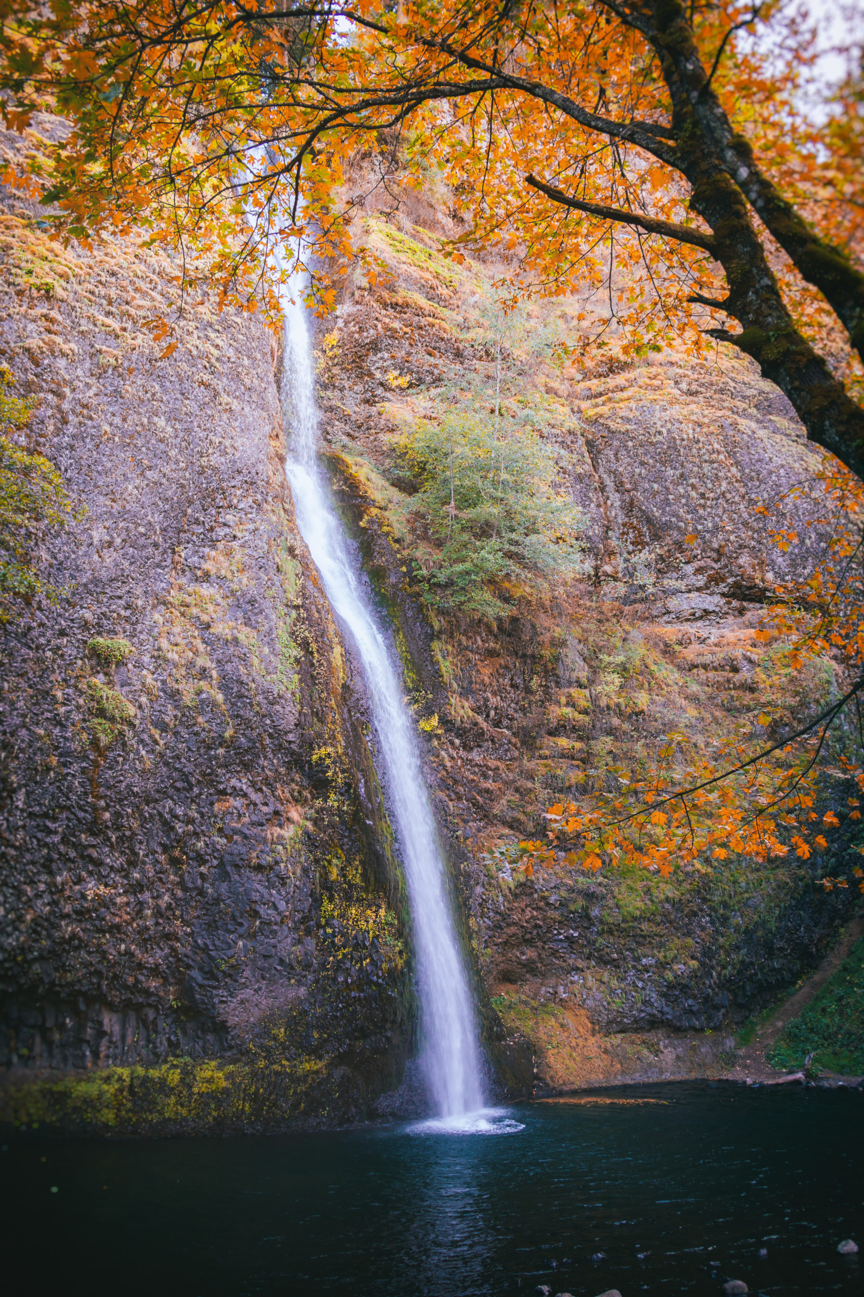 waterfall in columbia river gorge with fall foliage