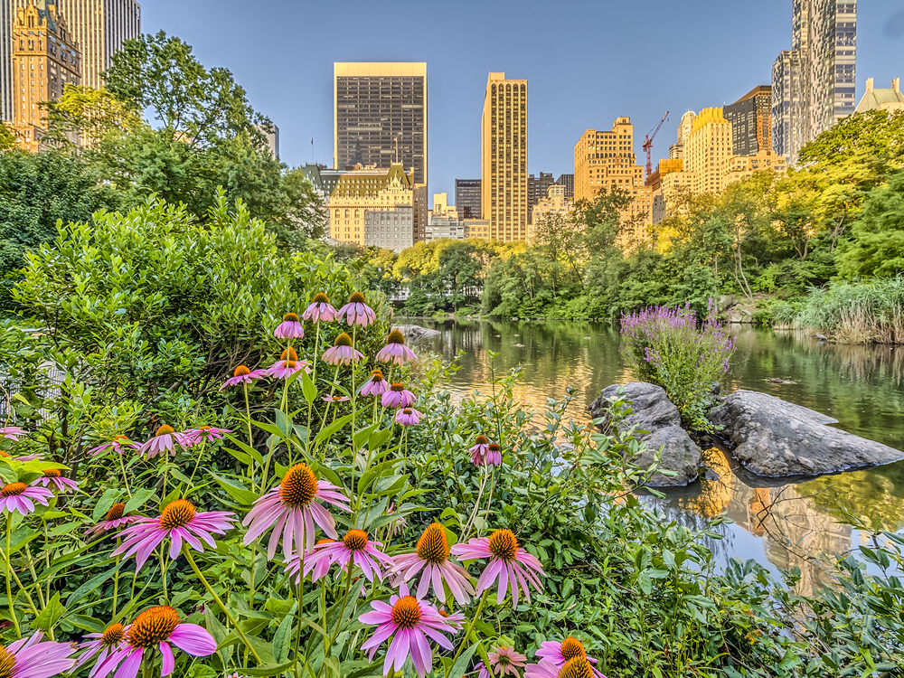 Central Park, New York City in early spring