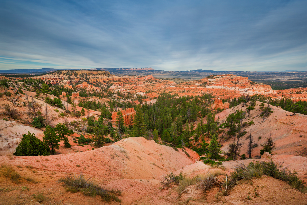 Red Rock Canyon