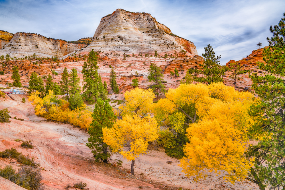 Zion National Park